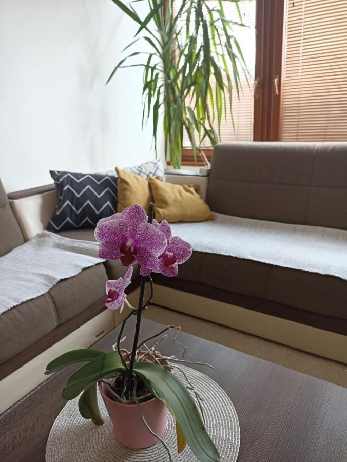 Apartment Bella Casa Free Parking ซาราเยโว ภายนอก รูปภาพ